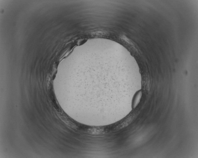 X0000081420660200702092135