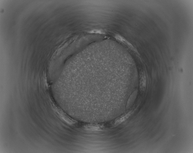 X0000081420661200702092135