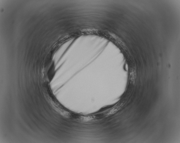 X0000081420662200702092135