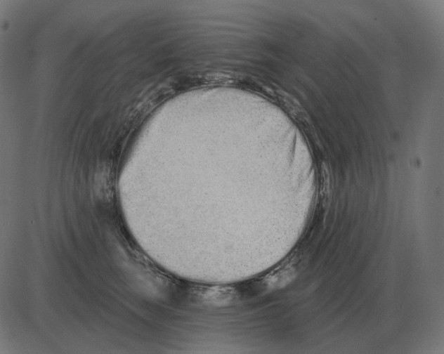 X0000081420663200702092135