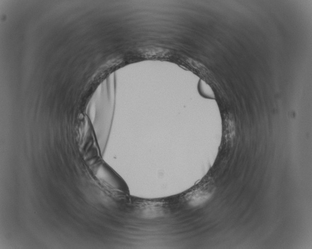 X0000081420664200702092135