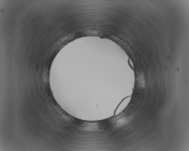 X0000081420665200702092135