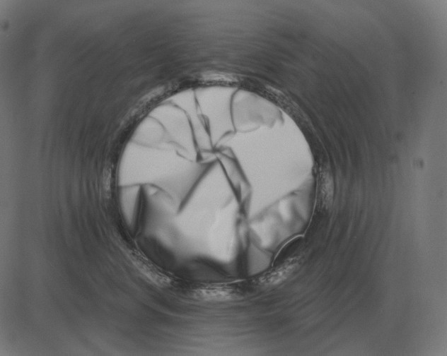 X0000081420668200702092135