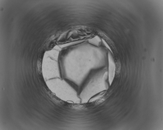 X0000081420669200702092135