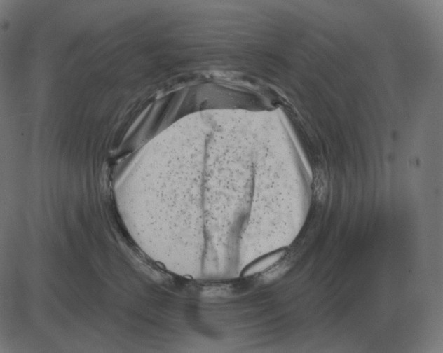 X0000081420670200702092135