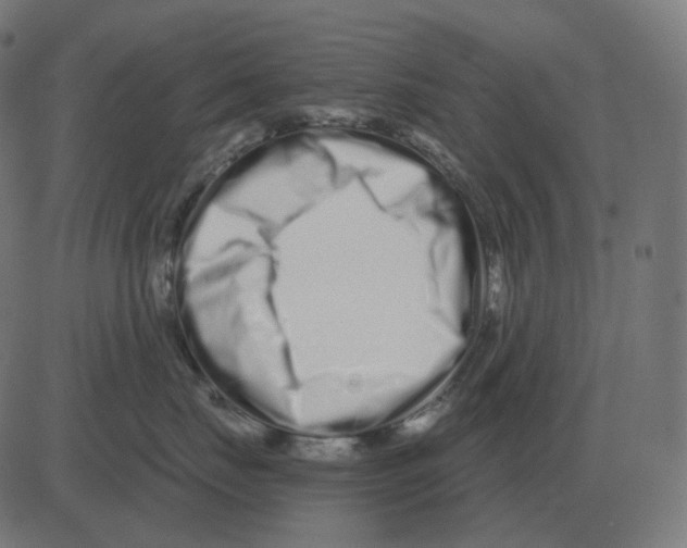 X0000081420671200702092135