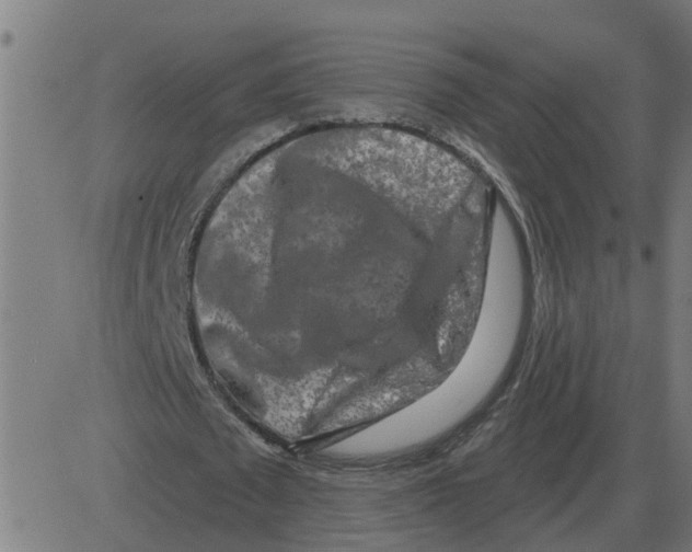 X0000081420673200702092134