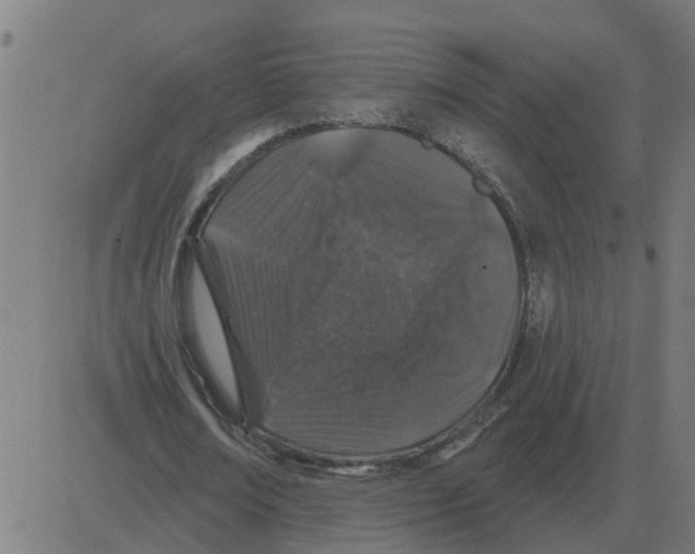 X0000081420674200702092134