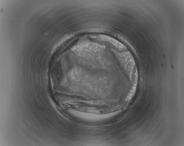 X0000081420677200702092134