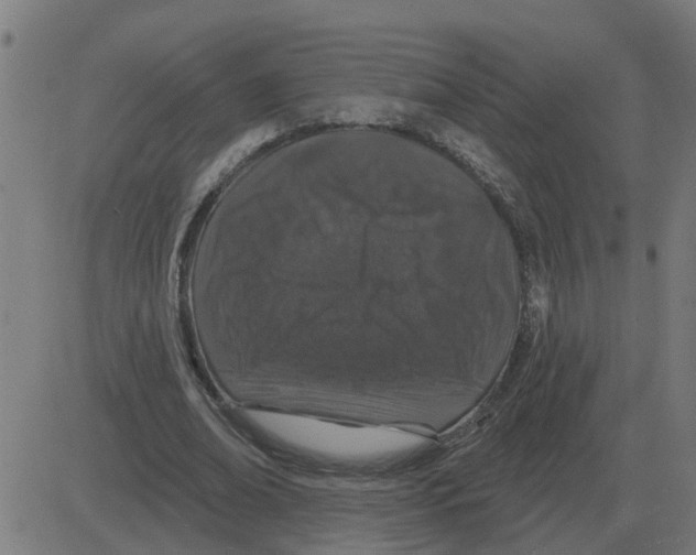 X0000081420678200702092134