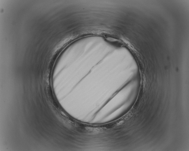 X0000081420679200702092134