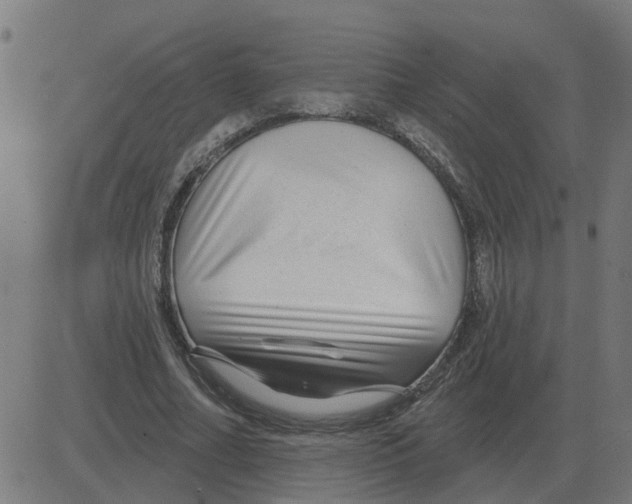 X0000081420682200702092134