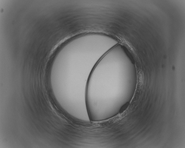 X0000081420684200702092134