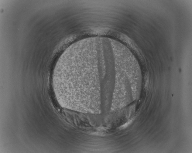 X0000081420685200702092134