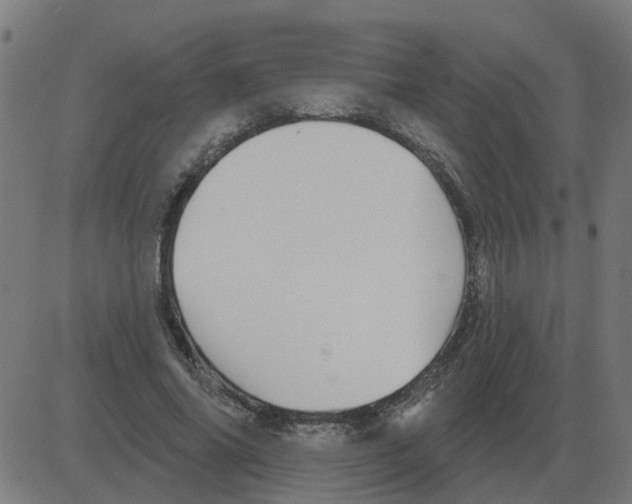 X0000081420686200702092134