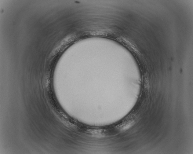 X0000081420687200702092134