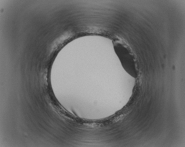 X0000081420688200702092134