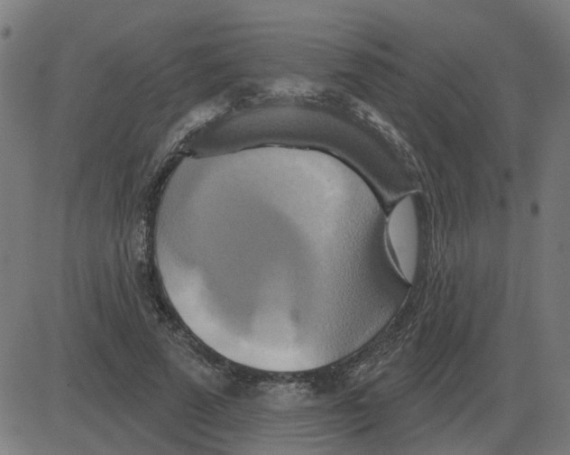 X0000081420689200702092134