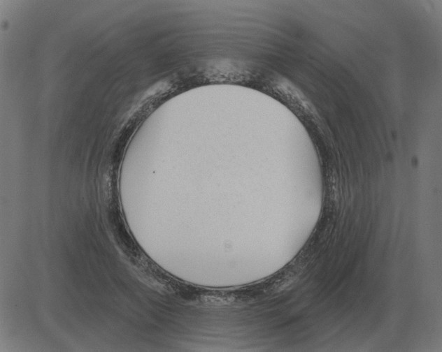 X0000081420690200702092134