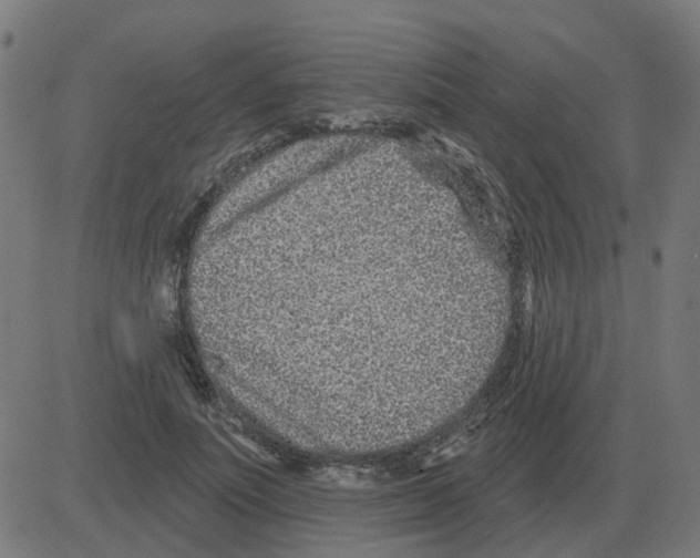 X0000081420691200702092134