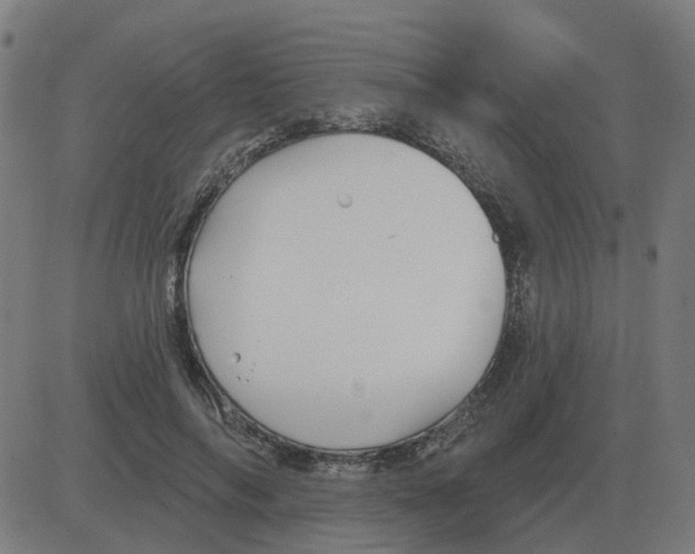 X0000081420694200702092134