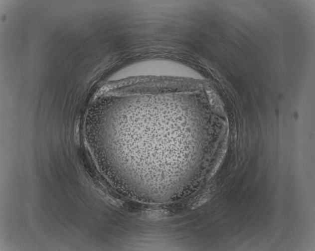 X0000081420696200702092134