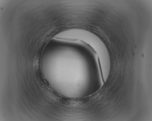 X0000081420697200702092134