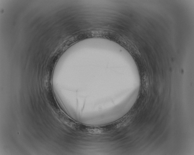 X0000081420698200702092134