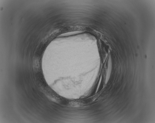 X0000081420699200702092134