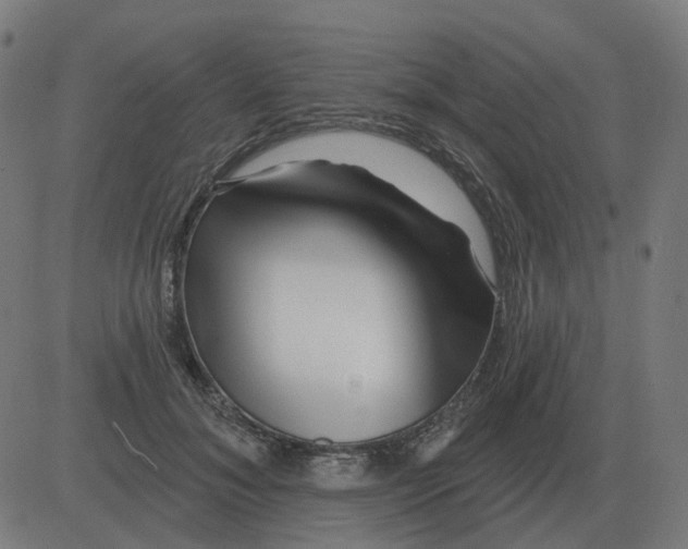 X0000081420700200702092134