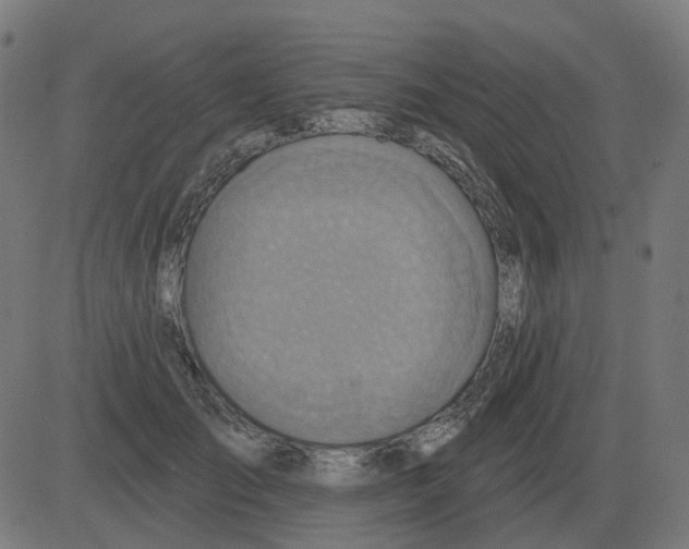 X0000081420701200702092134