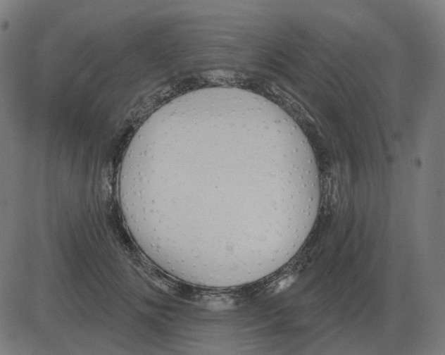 X0000081420702200702092134