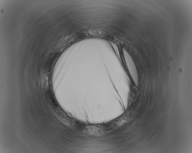 X0000081420703200702092134