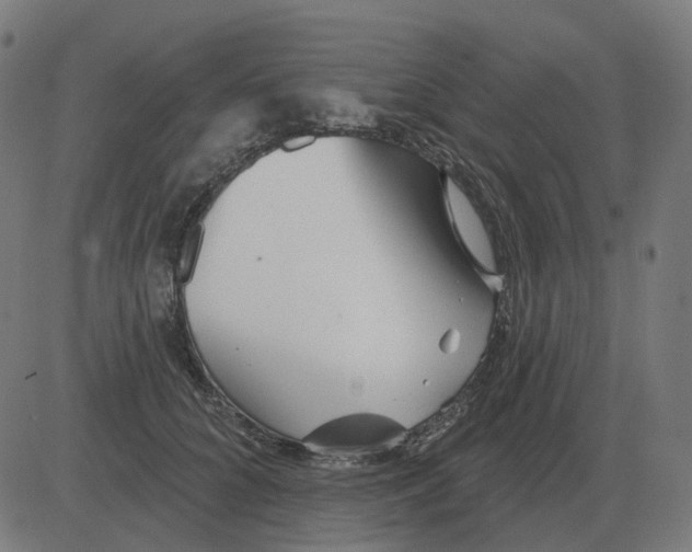 X0000081420704200702092134