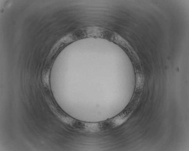 X0000081420705200702092134