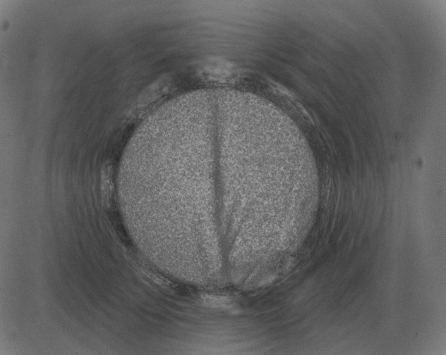 X0000081420707200702092134