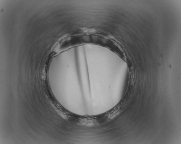 X0000081420708200702092134