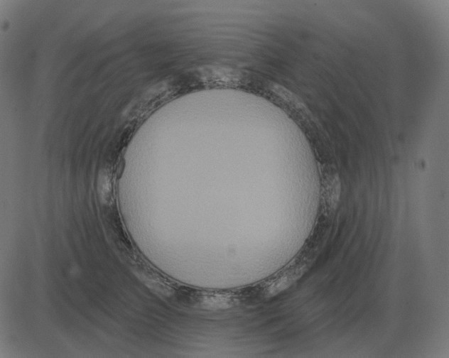 X0000081420709200702092134