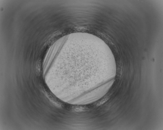 X0000081420710200702092134