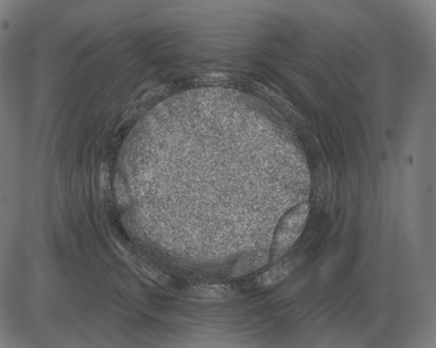 X0000081420711200702092134