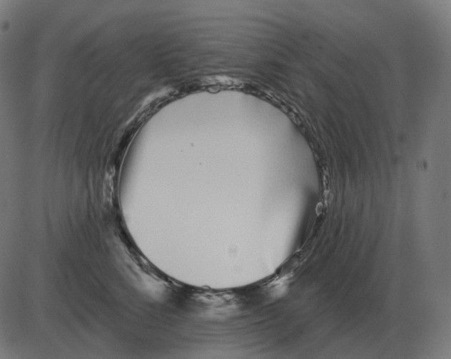 X0000081420712200702092134