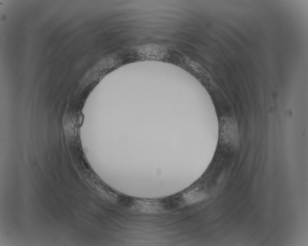 X0000081420713200702092134