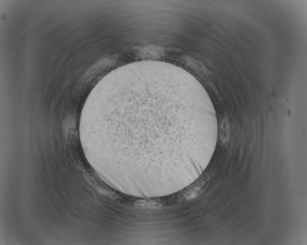 X0000081420714200702092134