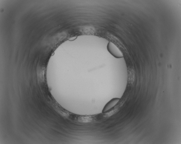 X0000081420717200702092134