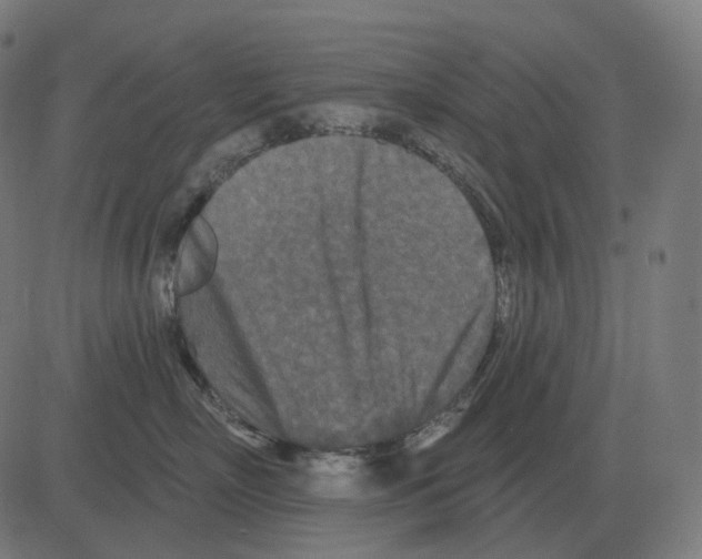 X0000081420718200702092134