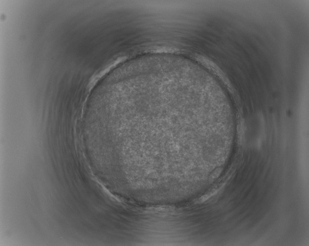 X0000081420721200702092133