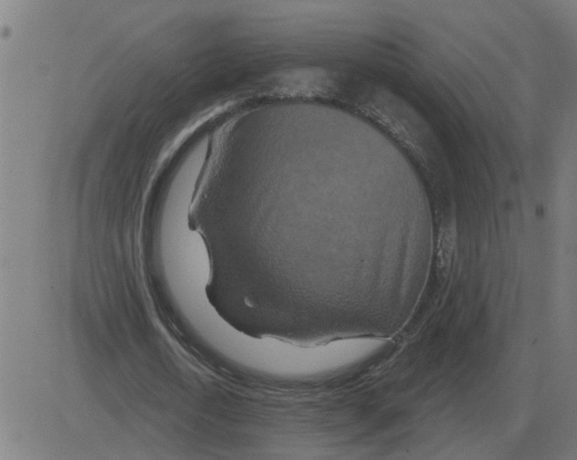 X0000081420722200702092133