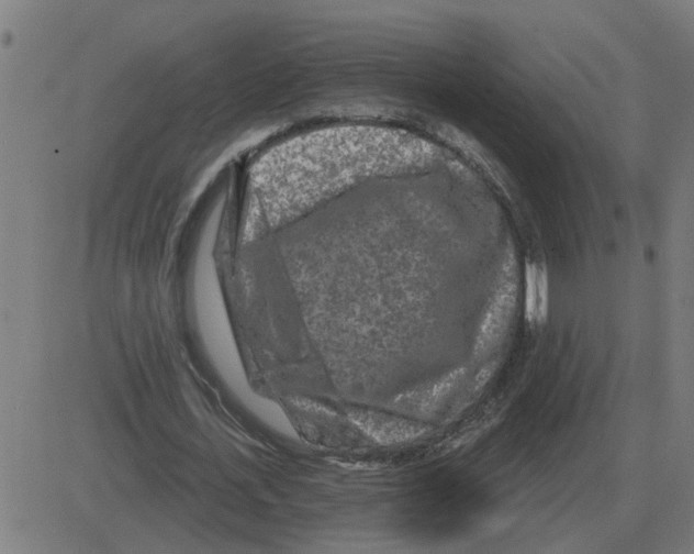 X0000081420723200702092133