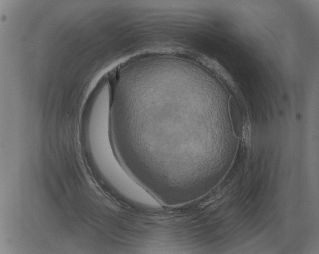 X0000081420724200702092133