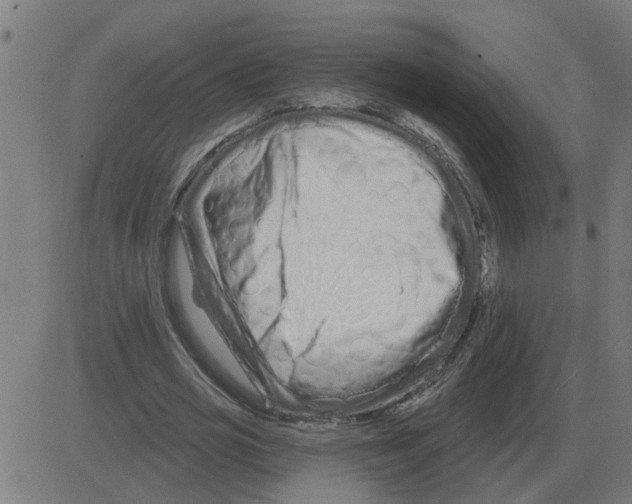 X0000081420725200702092133